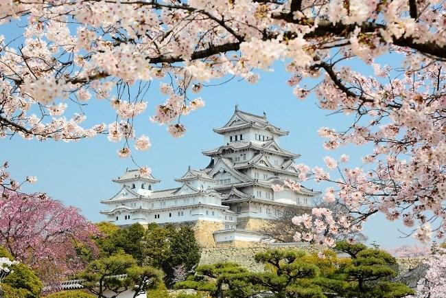 Castello di Himeji Giappone