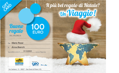 gift card 100r rr