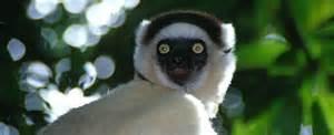 Madagascar