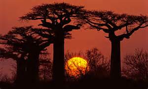 Madagascar-Africa