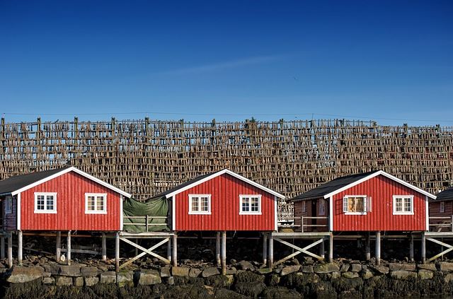 Il grande Nord e il Sole di mezzanotte:Tour fiordi e Lofoten